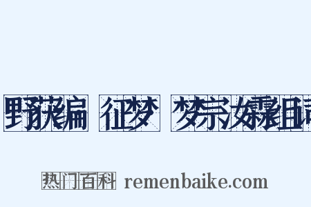 野获编·征梦·梦宗汝霖组词是什么意思的图片